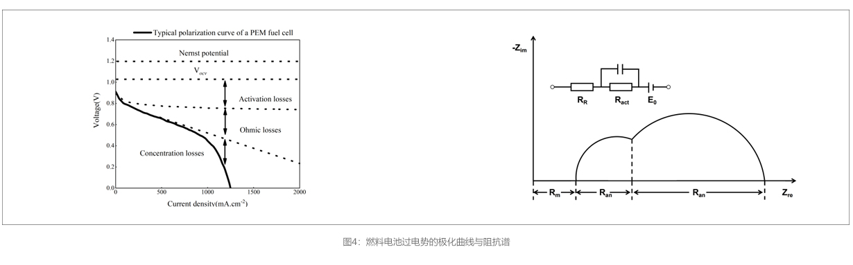 官网详qing图模板图四.jpg